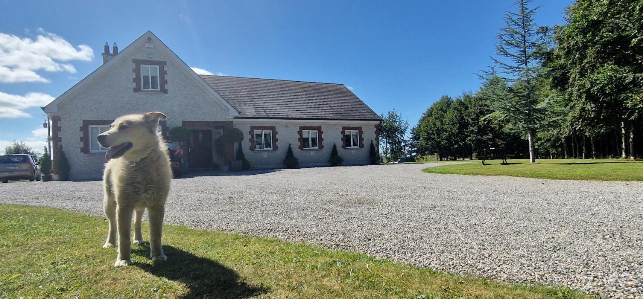 Littlefield B&B Durrow, Laois Экстерьер фото